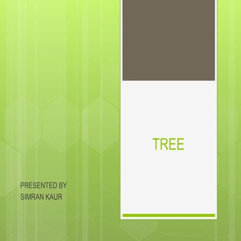 Tree | PPT