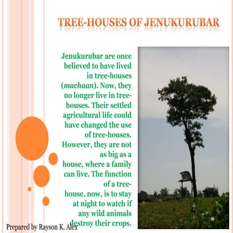 Tree Houses Of Jenukurubar