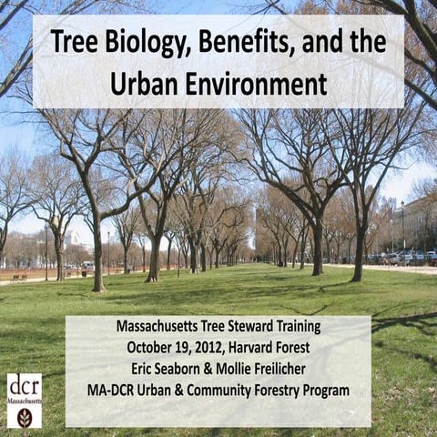 Tree biology, benefits, and the urban 