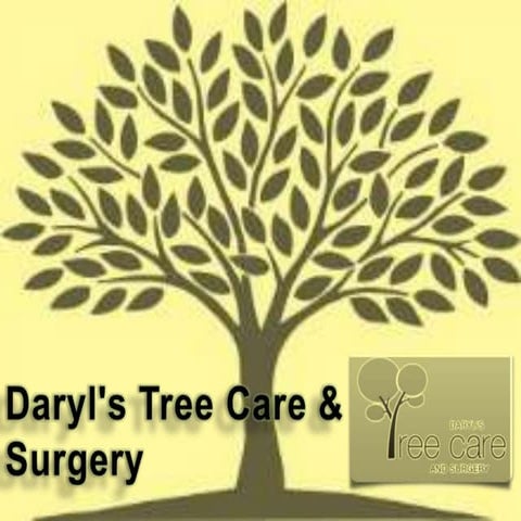 When to Remove A Tree | PPTX