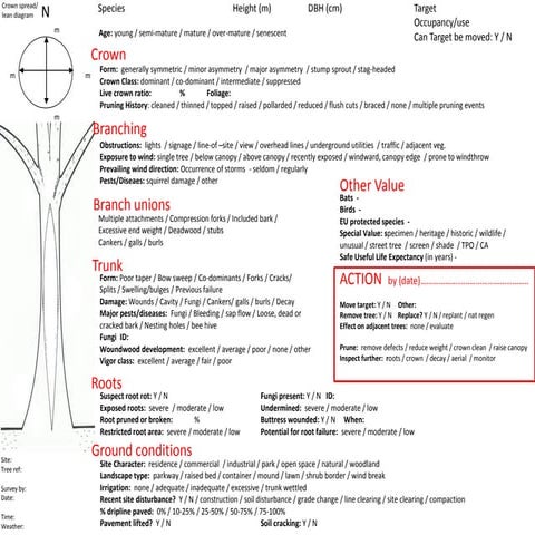 Tree checklist ami_for wts