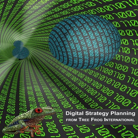 Digital Strategy 2012