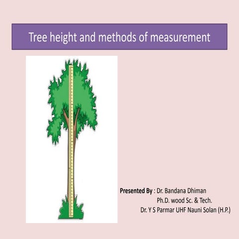 Tree height measurement methods