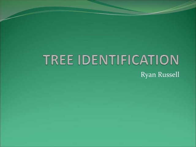 Tree identification