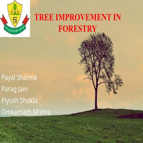 tree improvement in forestry  plus tree and elite tree
