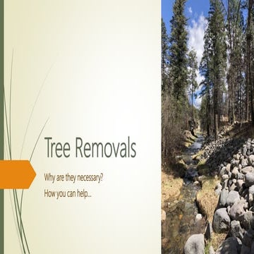 Essential Guide to Tree Removal: What Every Homeowner Should Know | PDF