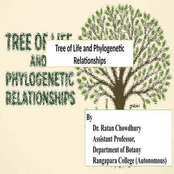 Tree of Life and Phylogenetic Relationships.pptx