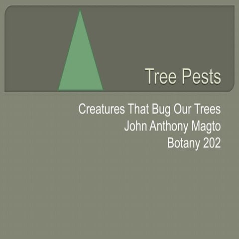 Tree pests