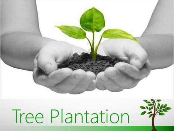 Tree plantation | PPTX