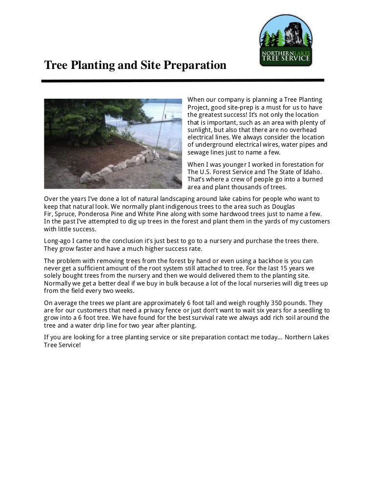 Tree planting and site preparation