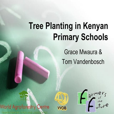 Tree Planting In Kenyan Schools