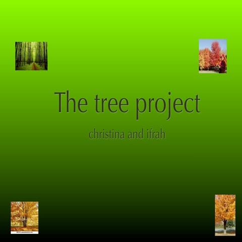 Tree project christina and ifrah