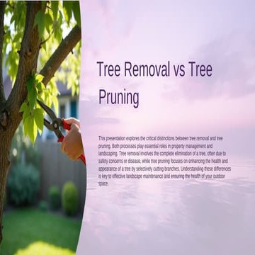 Tree Removal vs Tree Pruning — Trusted Tree Lopping Brisbane