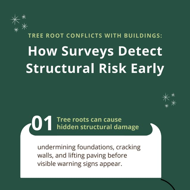 Tree Root Conflicts With Buildings: How Surveys Detect Structural Risk ...