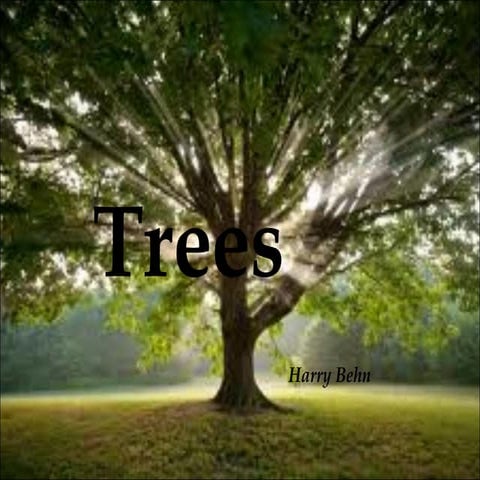 Trees | PPT