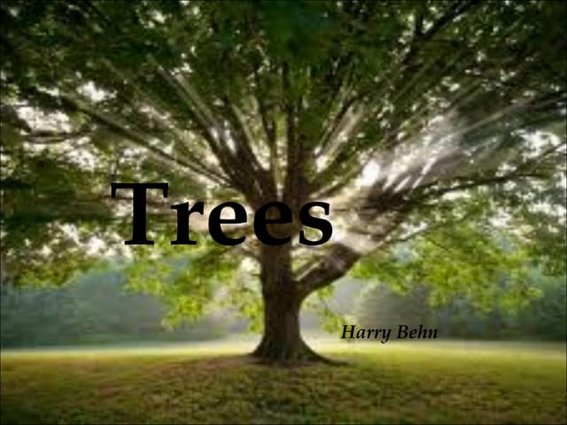 Trees | PPT