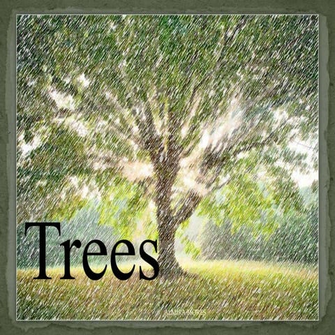 Trees | PPT
