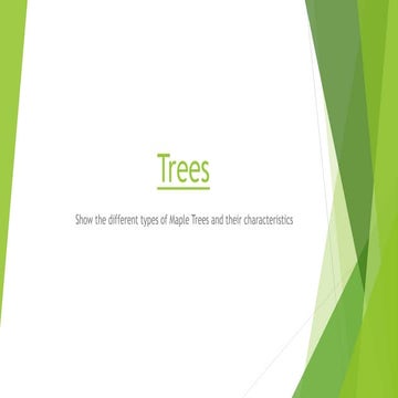 Trees | PPT