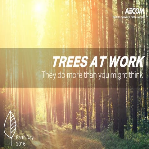 Earth Day 2016: Trees at Work