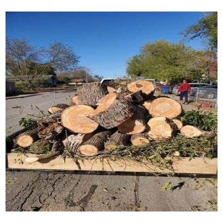 Tree service coquitlam inc 