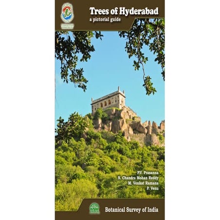 Trees of hyderabad