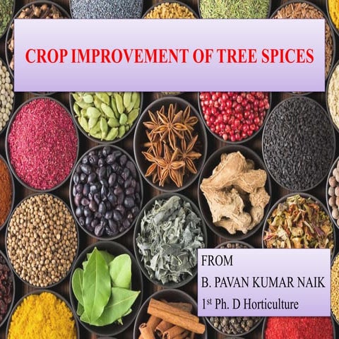 CROP IMPROVEMENT OF TREE SPICES