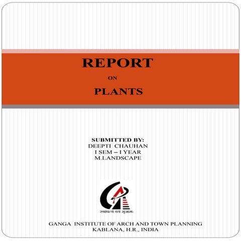 Trees presentation (1) | PPTX