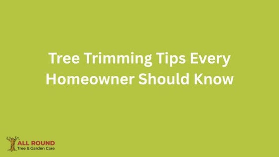 Tree Trimming Tips Every Shellharbour Homeowner Should Know.pdf