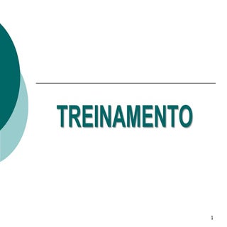 Treinamento Organizacional
