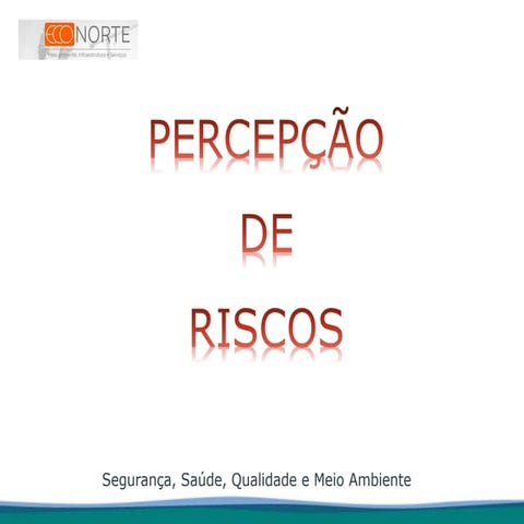 Treinamento Percepção de Riscos 2025.ppt