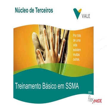 Treinamentos-vale.pdf