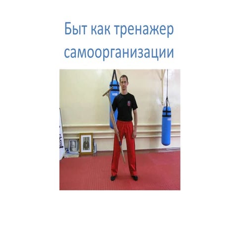 Быт как тренажер для самоорганизации. Презентация к вебинару. | PPT