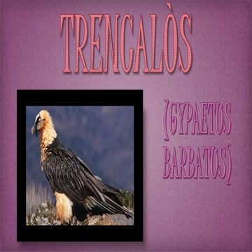 Trencalòs
