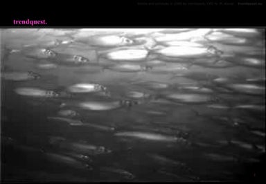 Megatrend Gruppenwerte - 2009 Trendquest 