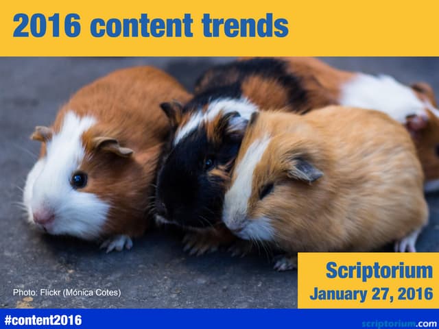 2016 content trends
