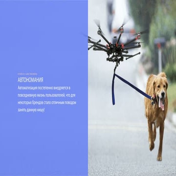 Автономания