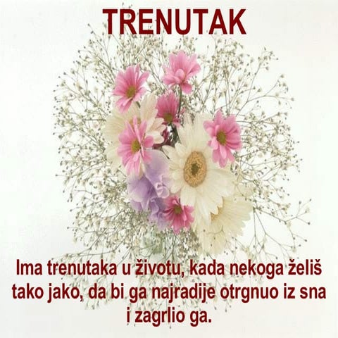 Strepnja Desanka Maksimović | PPS