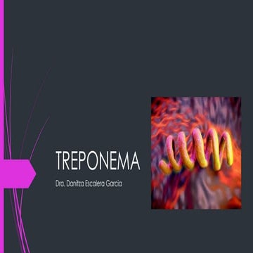Treponema | PPTX