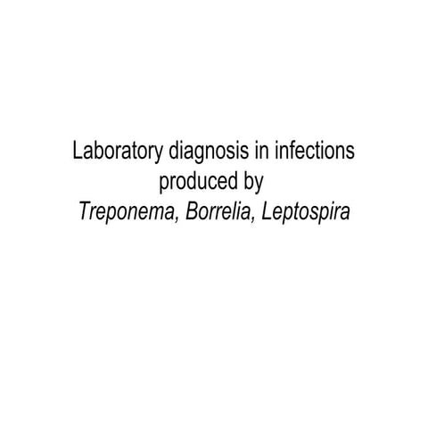Treponema borrelia leptospira