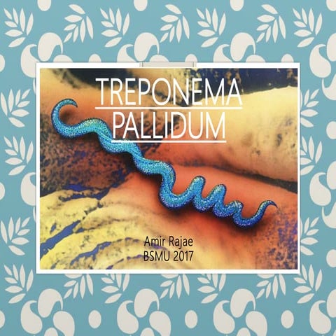 Treponema pallidum and syphilis