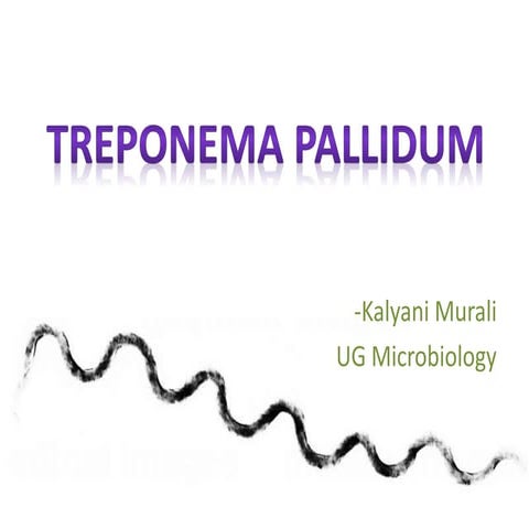 Treponema pallidum