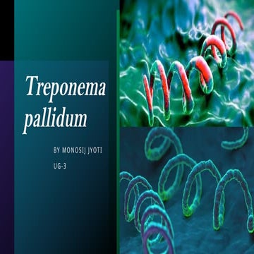 Treponema pallidum  disease symptoms (3).pptx