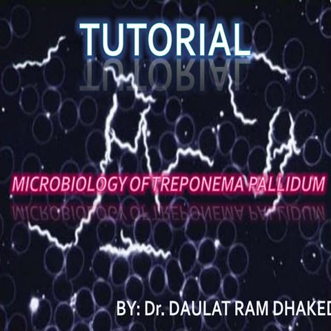 Treponema pallidum tutorial 