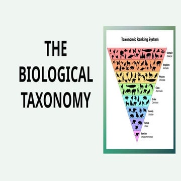 Hierarchy of Classification Groups - Biology | PPT