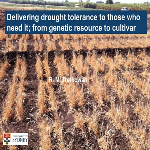 GRM 2013: Delivering drought tolerance to those who need it: From genetic res...