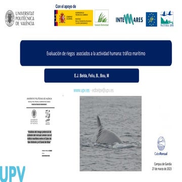 Tráfico marítimo y riesgo de colisión del rorcual