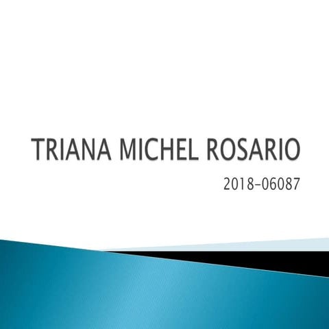 Triana diaspositiva de tecnologia7