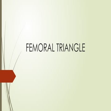 triangle MIT /lower limb/ lower limb posterior