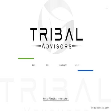 Tribal Advisors
