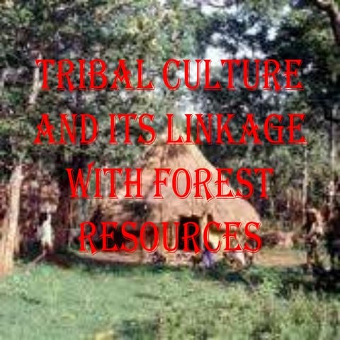 Tribal culture 